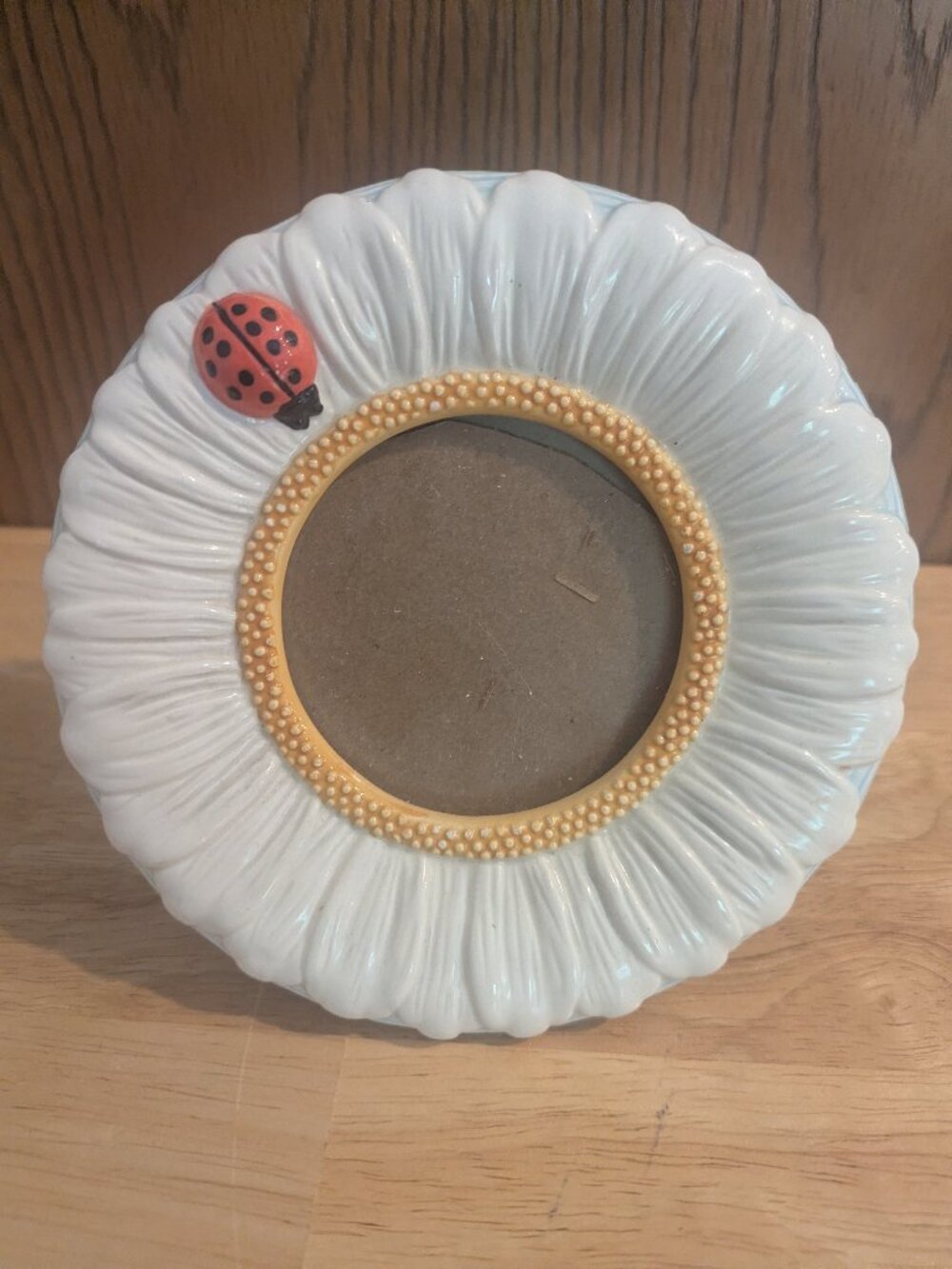 Vintage Daisy Ladybug Picture Frame Circular 6.25" Whimsy Floral-Carr